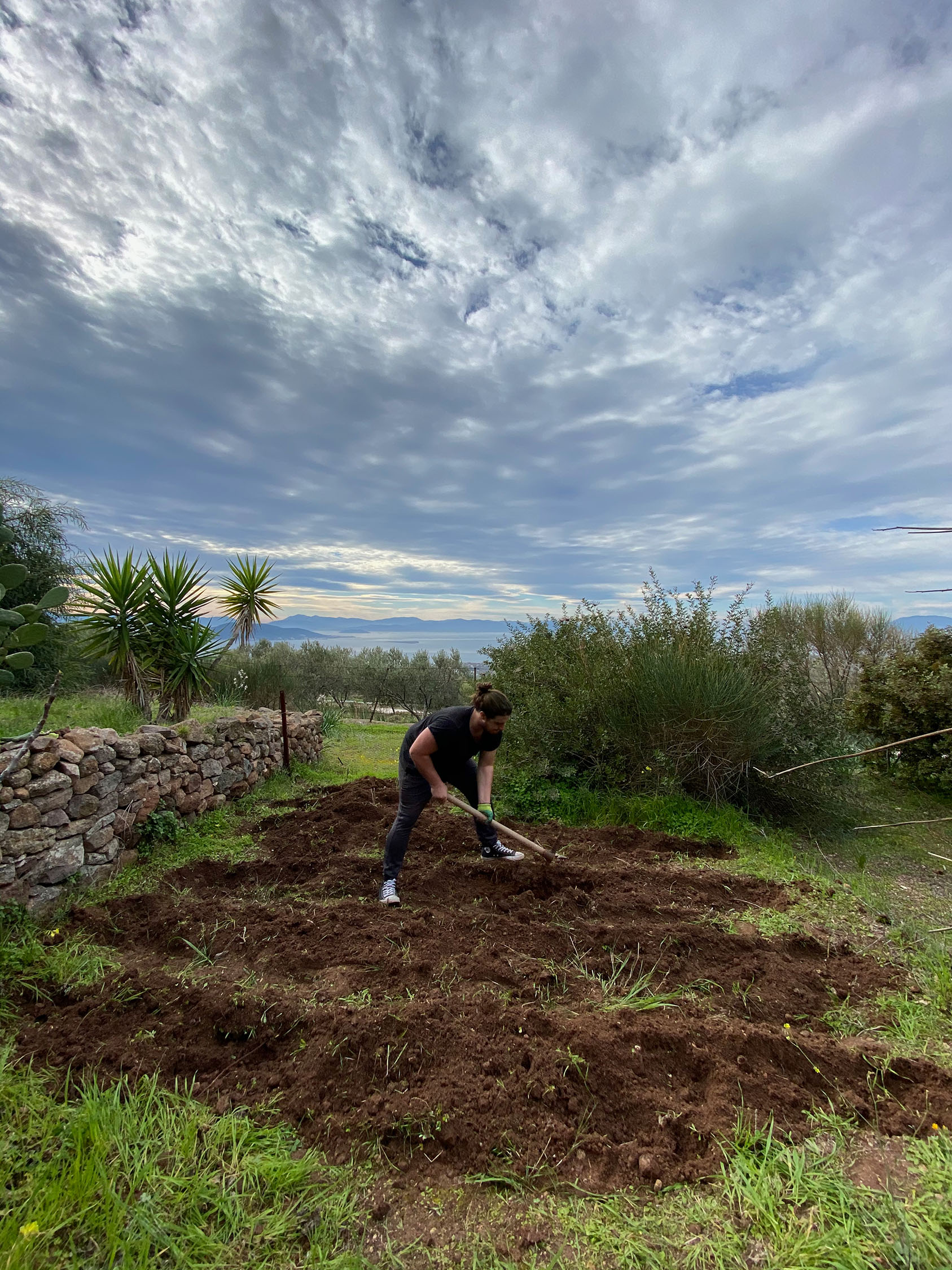<Aegina> gardening by artist Zac Zorbas